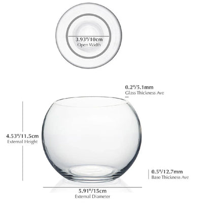 Thick Glass Bubble Ball Flower Vase