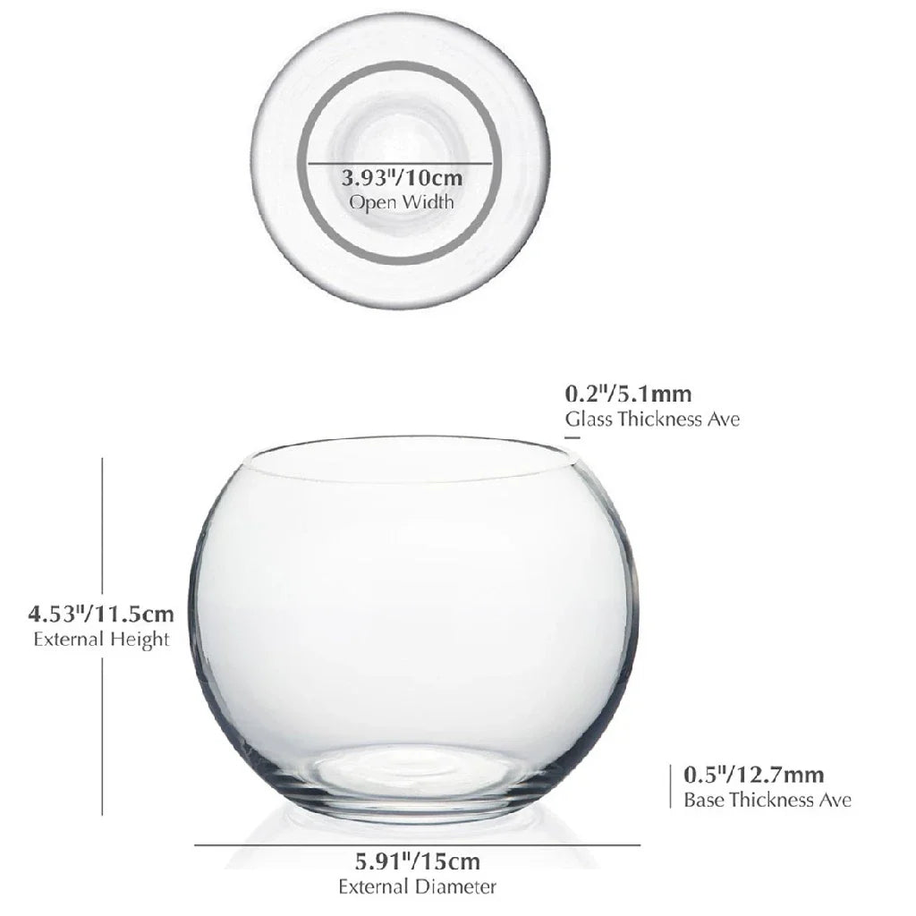 Thick Glass Bubble Ball Flower Vase