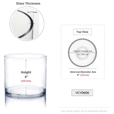 Clear Glass Cylinder Flower Vase