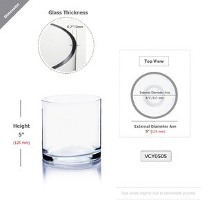 Clear Glass Cylinder Flower Vase