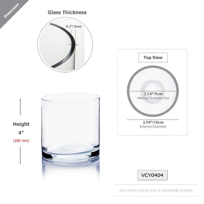 Clear Glass Cylinder Flower Vase