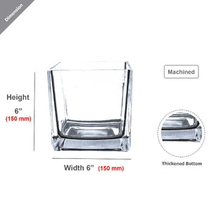 Clear Glass Floral Cube Vase