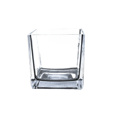 Clear Glass Floral Cube Vase