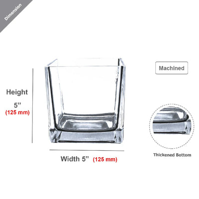 Clear Glass Floral Cube Vase