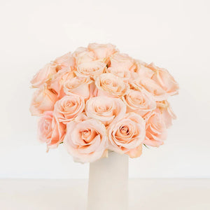 Pink Peach Elegant Roses