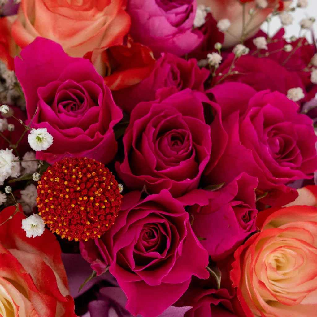 Cupid's Flirty Pink DIY Flower Kit
