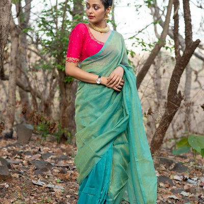 Curious Sitara