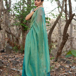 Curious Sitara