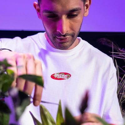Superkicks | GROW YOUR GREENS