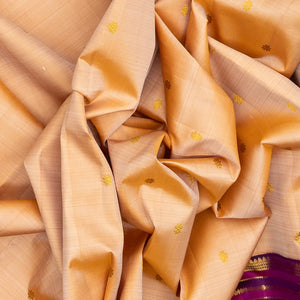 Light Peach Handloom Korvai Kanchipuram Silk Saree With Kamalam Buttas