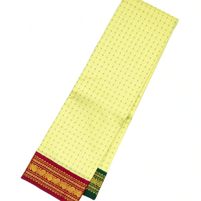 Mint Green Handloom Kanchipuram Korvai Silk Saree With Broken Checks