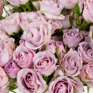 Delicate Lavender Spray Garden Rose
