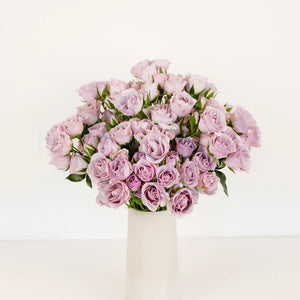 Delicate Lavender Spray Garden Rose