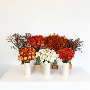 Desert Orange DIY Flower Kit