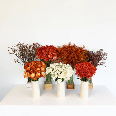 Desert Orange DIY Flower Kit