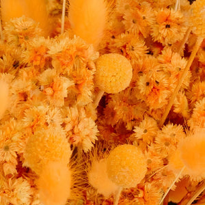 Desert Orange Dried Flower Pack
