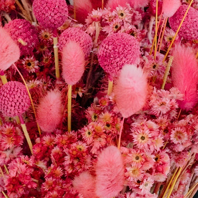 Gummy Pink Dried Flower Pack