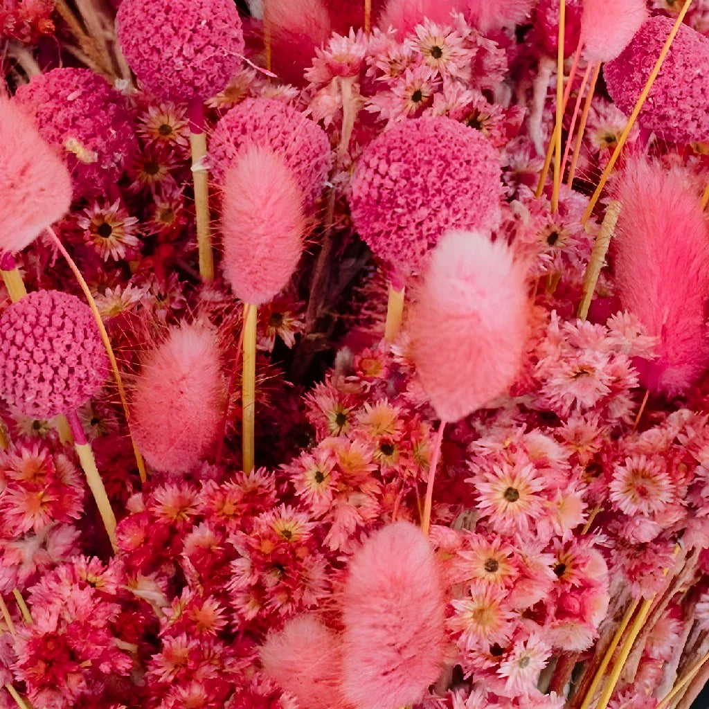 Gummy Pink Dried Flower Pack