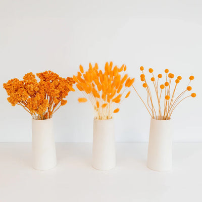 Desert Orange Dried Flower Pack