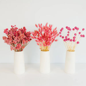 Gummy Pink Dried Flower Pack