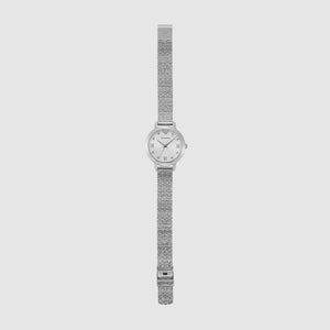 Cleo Women Quartz Silver Dial Analog Stainless Steel Watch AR11584