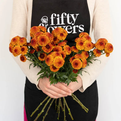 Sunrise Orange Pom Flower
