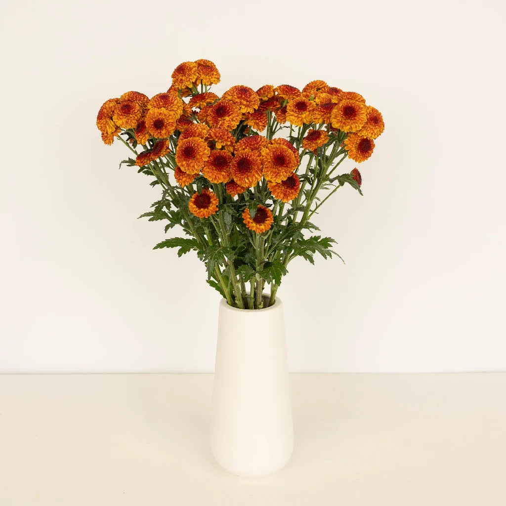 Sunrise Orange Pom Flower