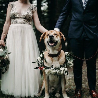 Bohemian Alaskan Wedding in the Mountains