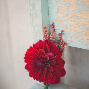 Wild Bohemian Wedding
