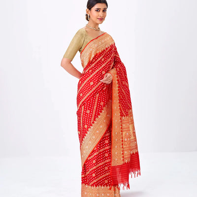 Red Handwoven Banarasi Silk Saree With Diagonal Floral Motifs