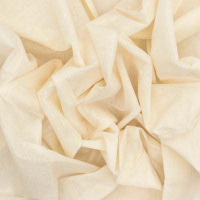 Off White Handloom Venkatagiri Cotton Saree With Jamdani Parrot Meenakari Motifs