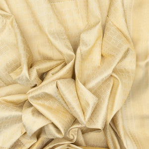 Cream Handloom Kanchipuram Silk Saree With Annam Motifs & Checks