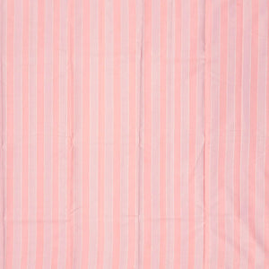 Grey Handloom Kanchipuram Silk Saree With Dotted Stripes