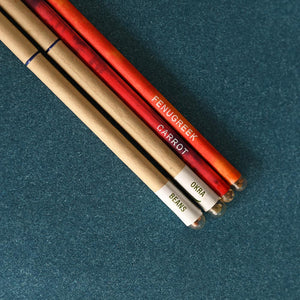 Earth Star Plant and Eco Goodies Bag