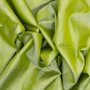 Mint Green Handloom Soft Silk Saree With Spiral Buttas