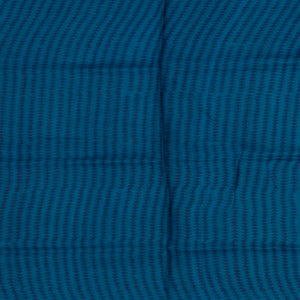 Beige Handwoven Printed Tussar Silk Saree With Vine Motifs & Contrast Blue Pallu-Beige