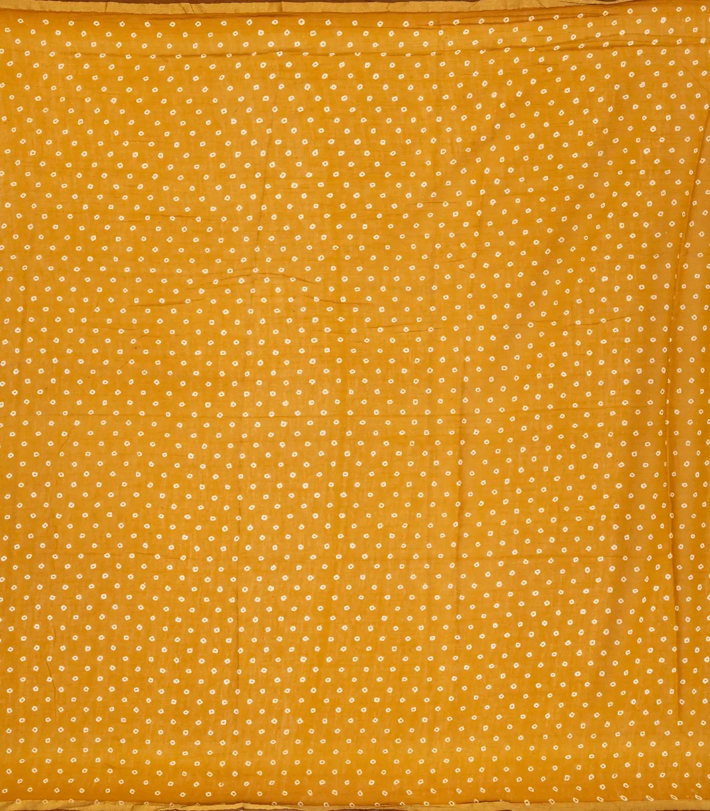 Oil Mustard Woven Jaipur Cotton Saree With Printed Floral Motifs