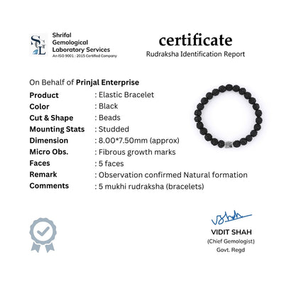 Black Rudraksha Beads Bracelet