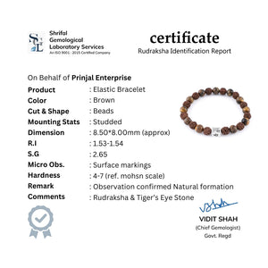 Rudraksha with Tiger Eye Stone Bracelet