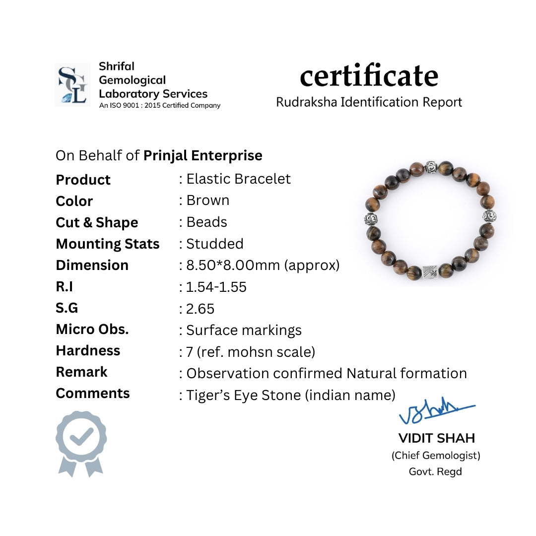 Tiger Eye Stone with Om Silver Beads Bracelet