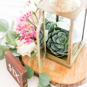 Elegant New England Vineyard Wedding