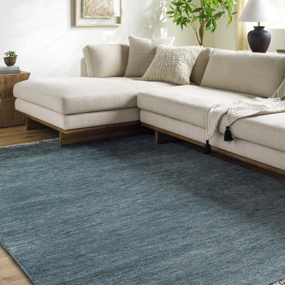 Hiromi Hand-Knotted Wool Rug
