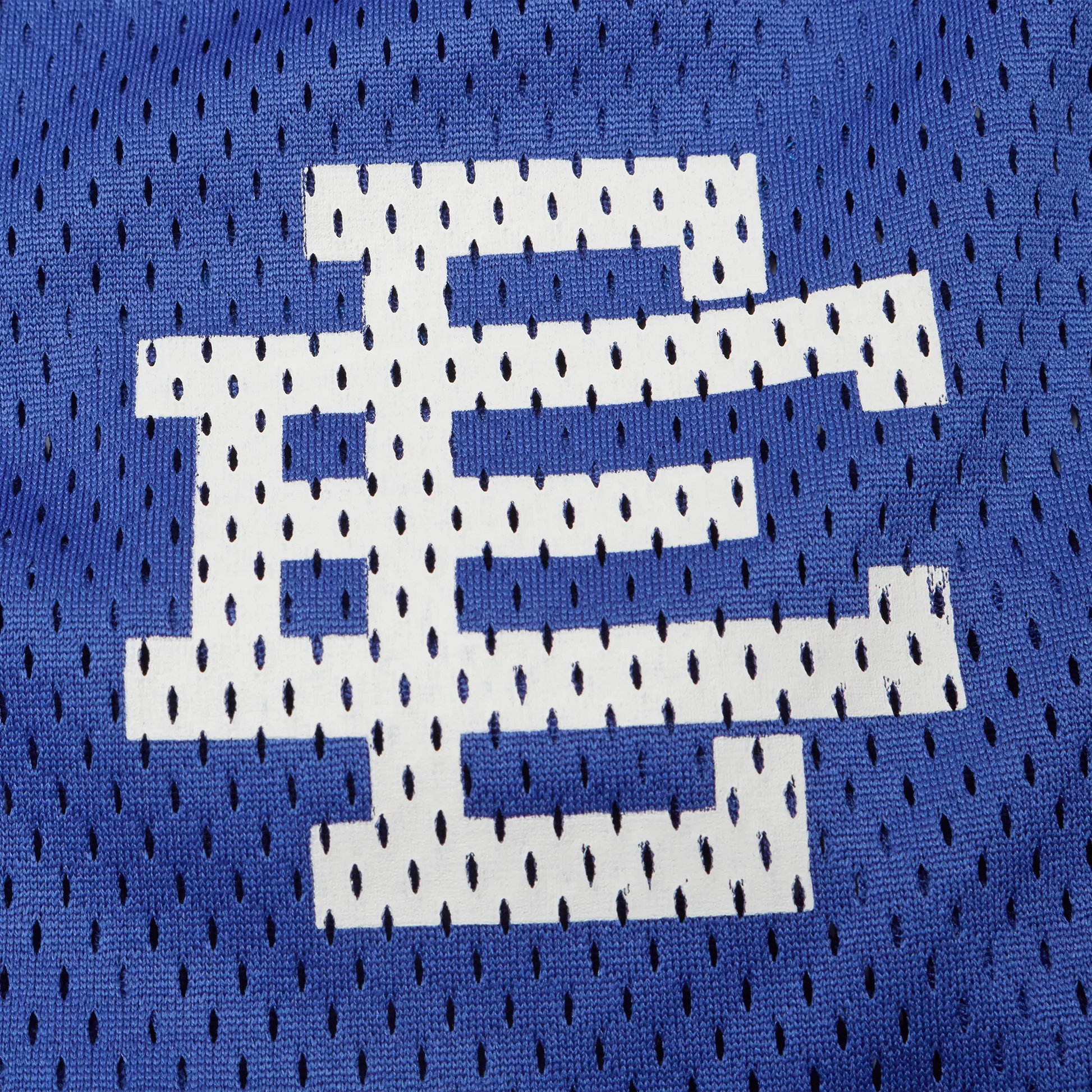 Eric Emanuel EE Basic Royal Blue White Shorts (SS25)