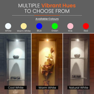 Eternal Vivid LED Spot Light