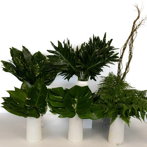 Evergreen Foliage DIY Greenery Kit