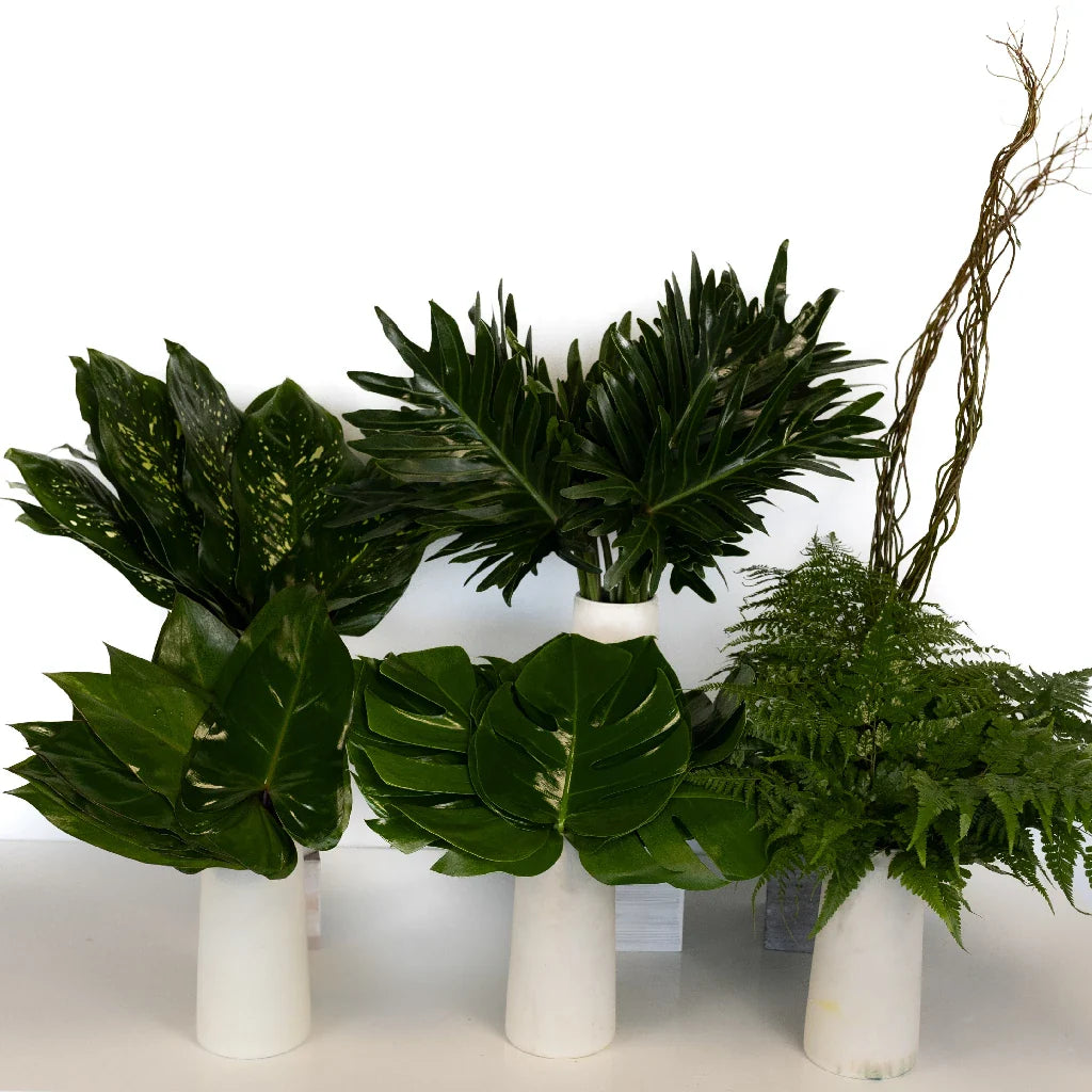 Evergreen Foliage DIY Greenery Kit