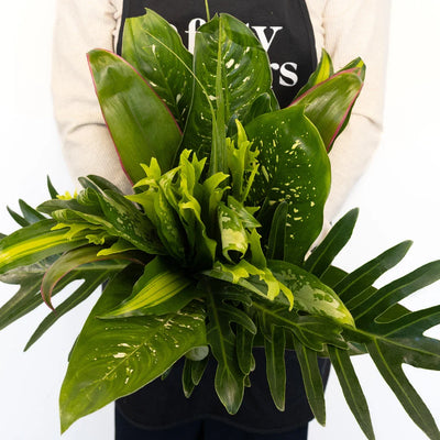 Exotic Jungle DIY Greenery Kit