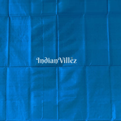 Caramel Brown Pure Sambalpuri Ikat Silk Pastel Saree