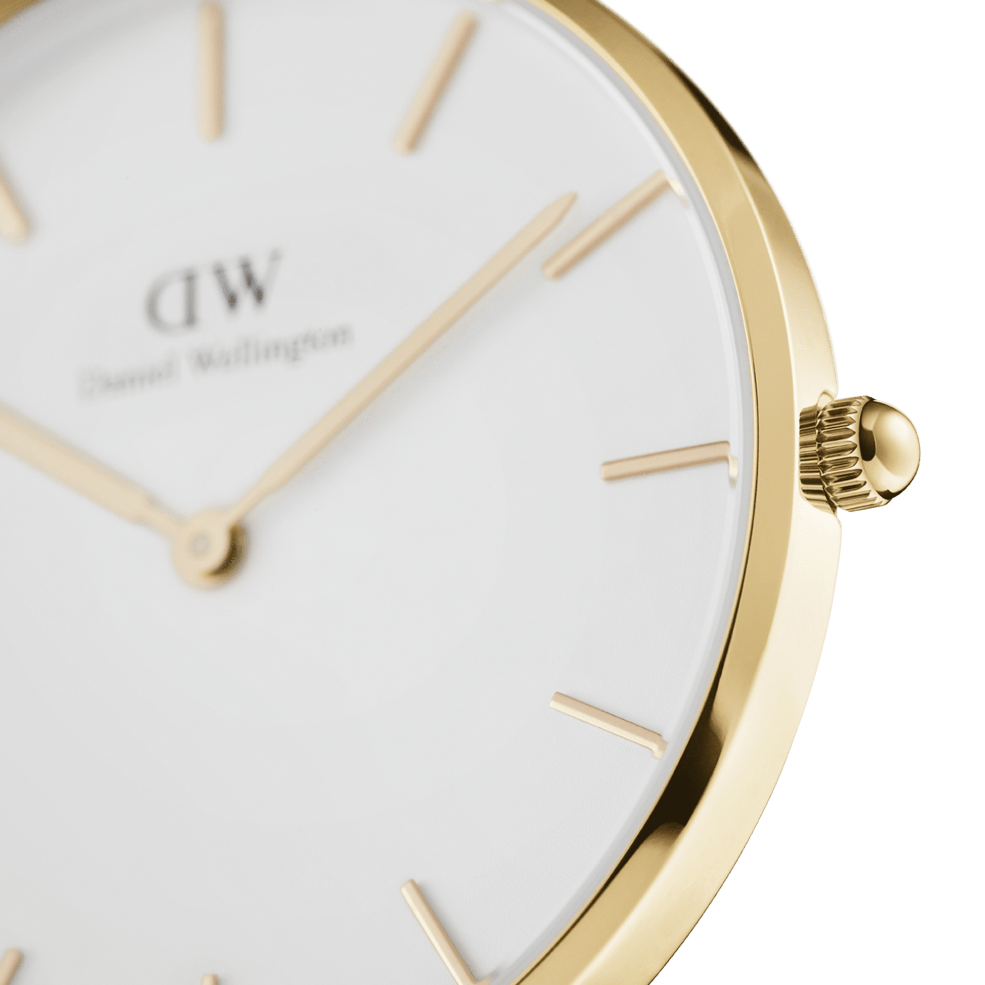 Petite Evergold White & Gold