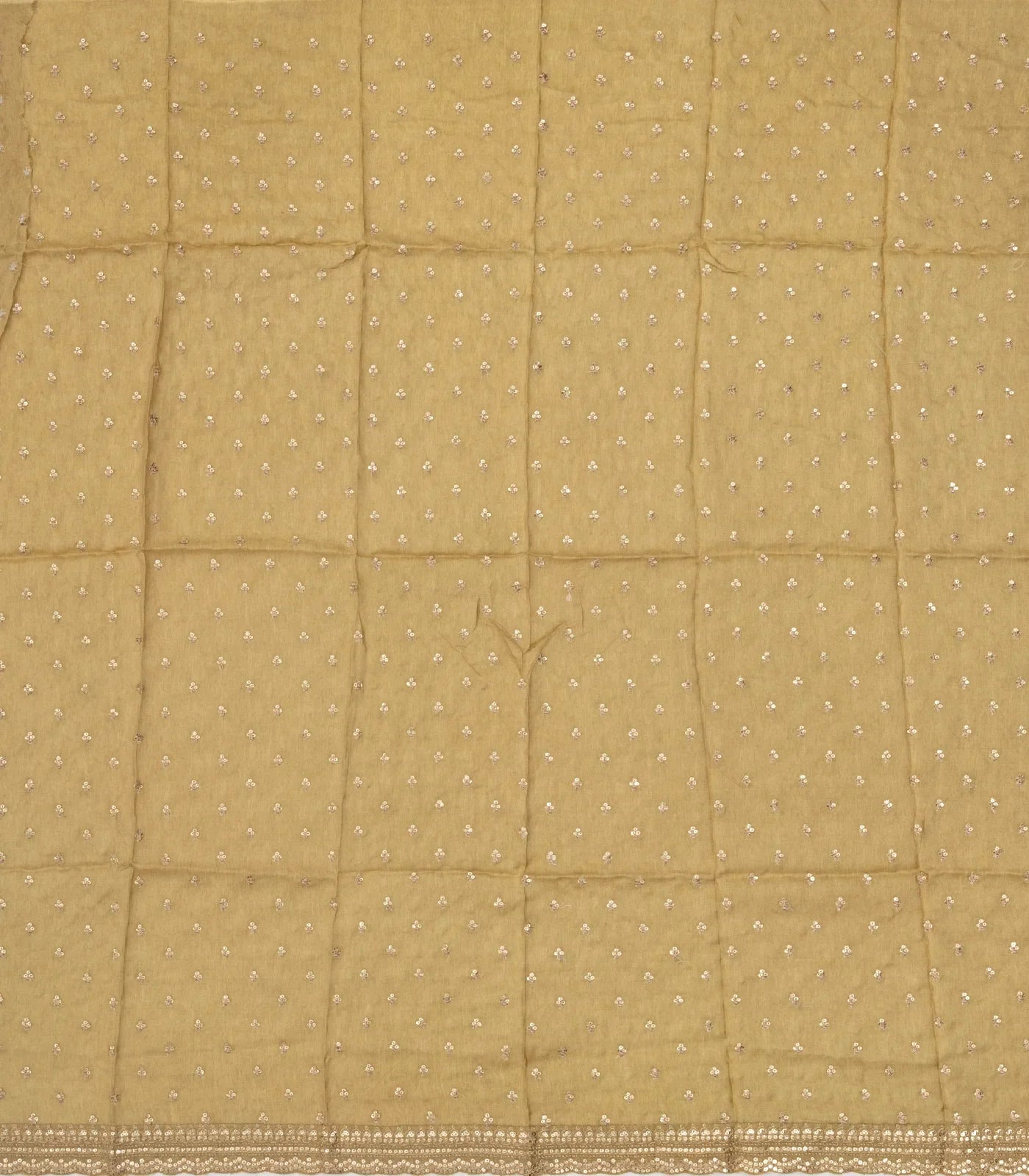 Taupe Woven Organza Saree With Floral Print & Embroidery